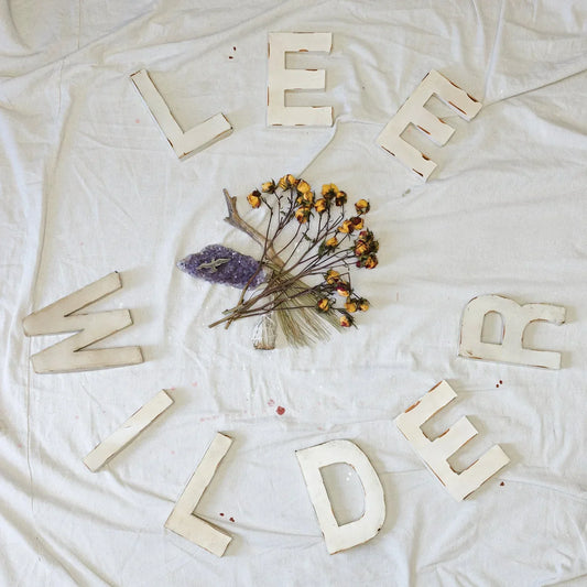 NEW ALBUM! Sound Emporium by Lee Wilder OUT NOW