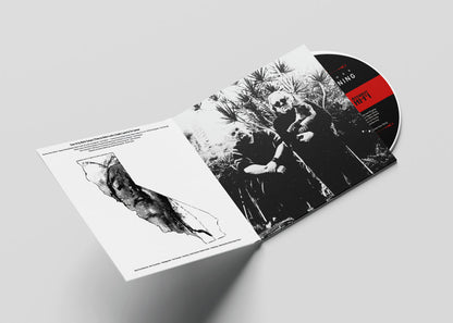 Zander Schloss - Californias Burning - CD